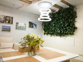 Вертикальное озеленение: интересные факты от наших Партнеров 