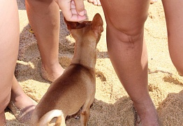 Совместный отдых в Ливадии 2014