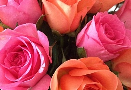 День Рождения преподавателя