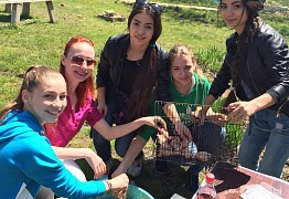 Выезд на шашлыки.10 мая