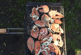 Выезд на шашлыки.10 мая